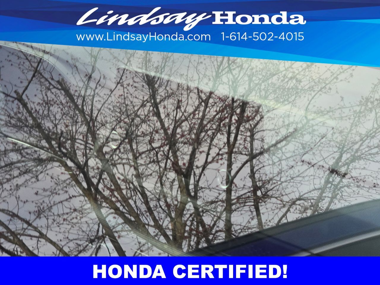 2023 Honda CR-V EX Columbus OH