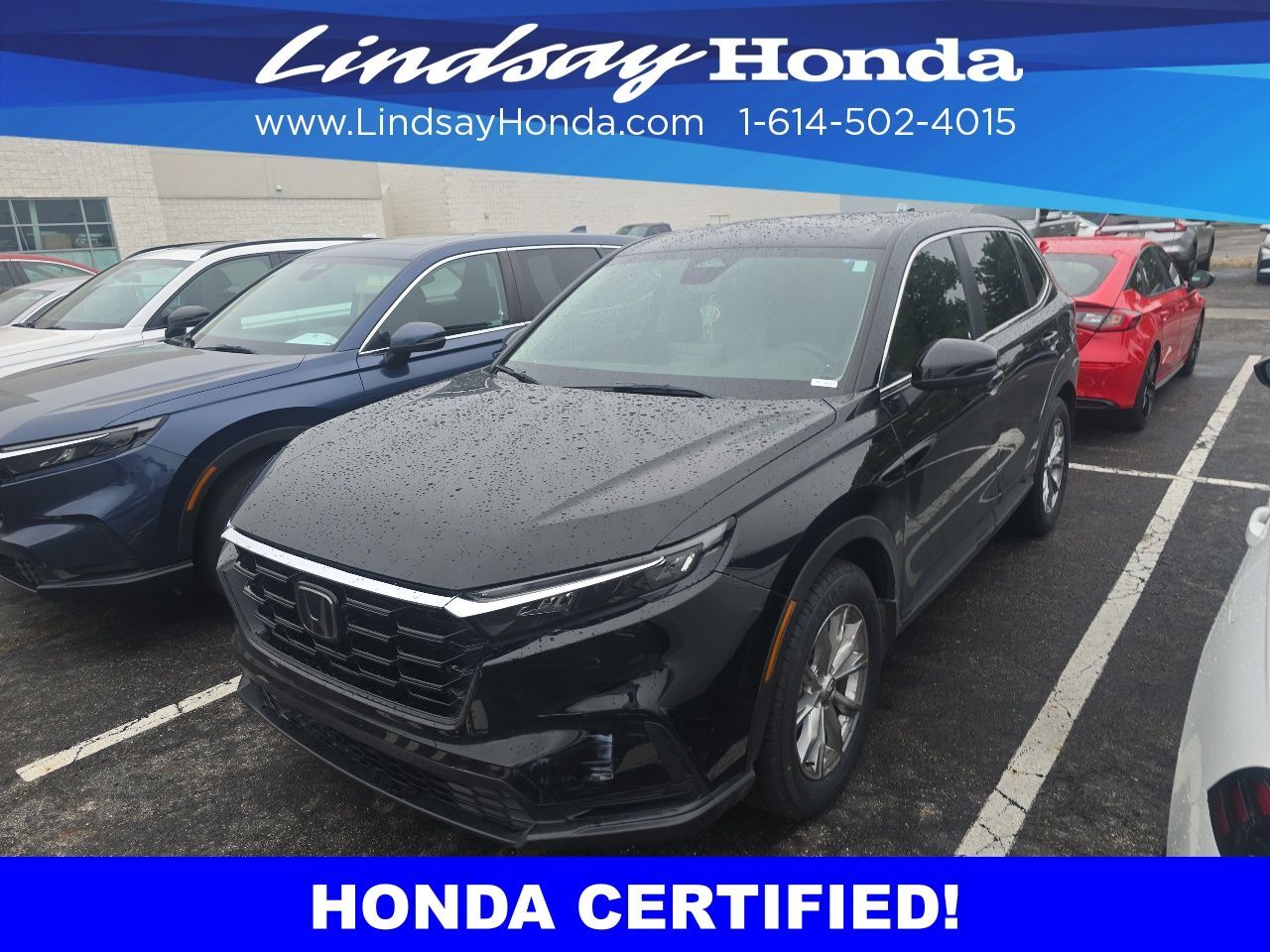 2023 Honda CR-V EX Columbus OH