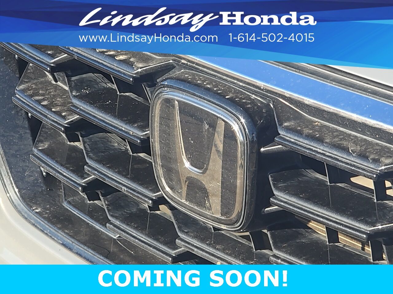 2023 Honda CR-V EX-L Columbus OH