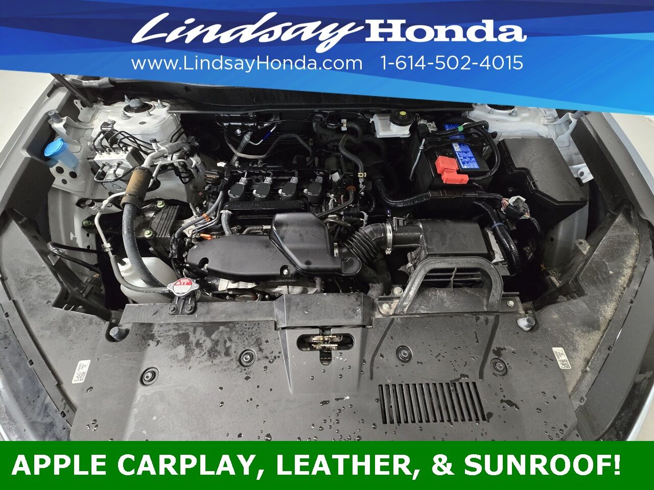 2023 Honda CR-V EX-L Columbus OH