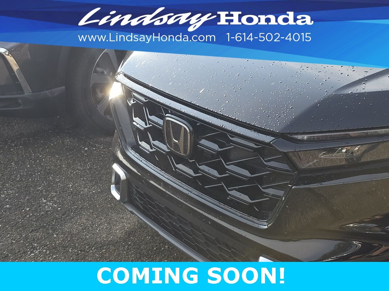 2023 Honda CR-V Hybrid Sport Touring Columbus OH