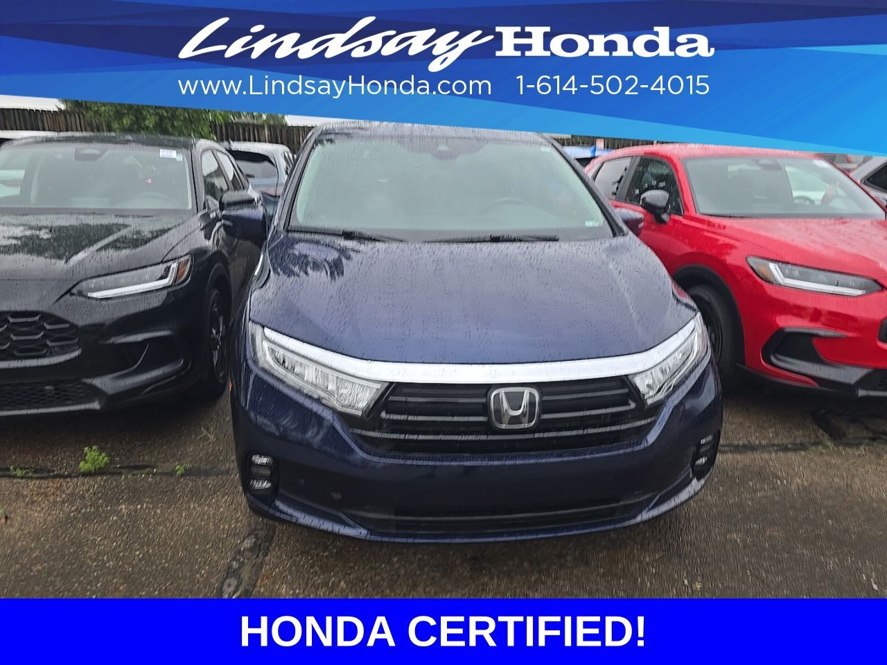 2023 Honda Odyssey Elite Columbus OH