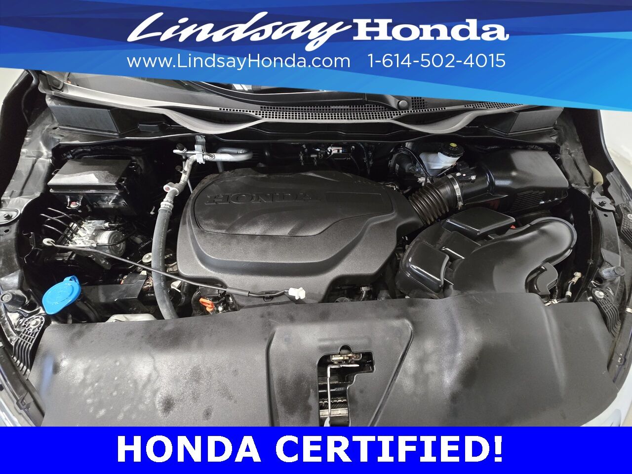 2023 Honda Odyssey Touring Columbus OH