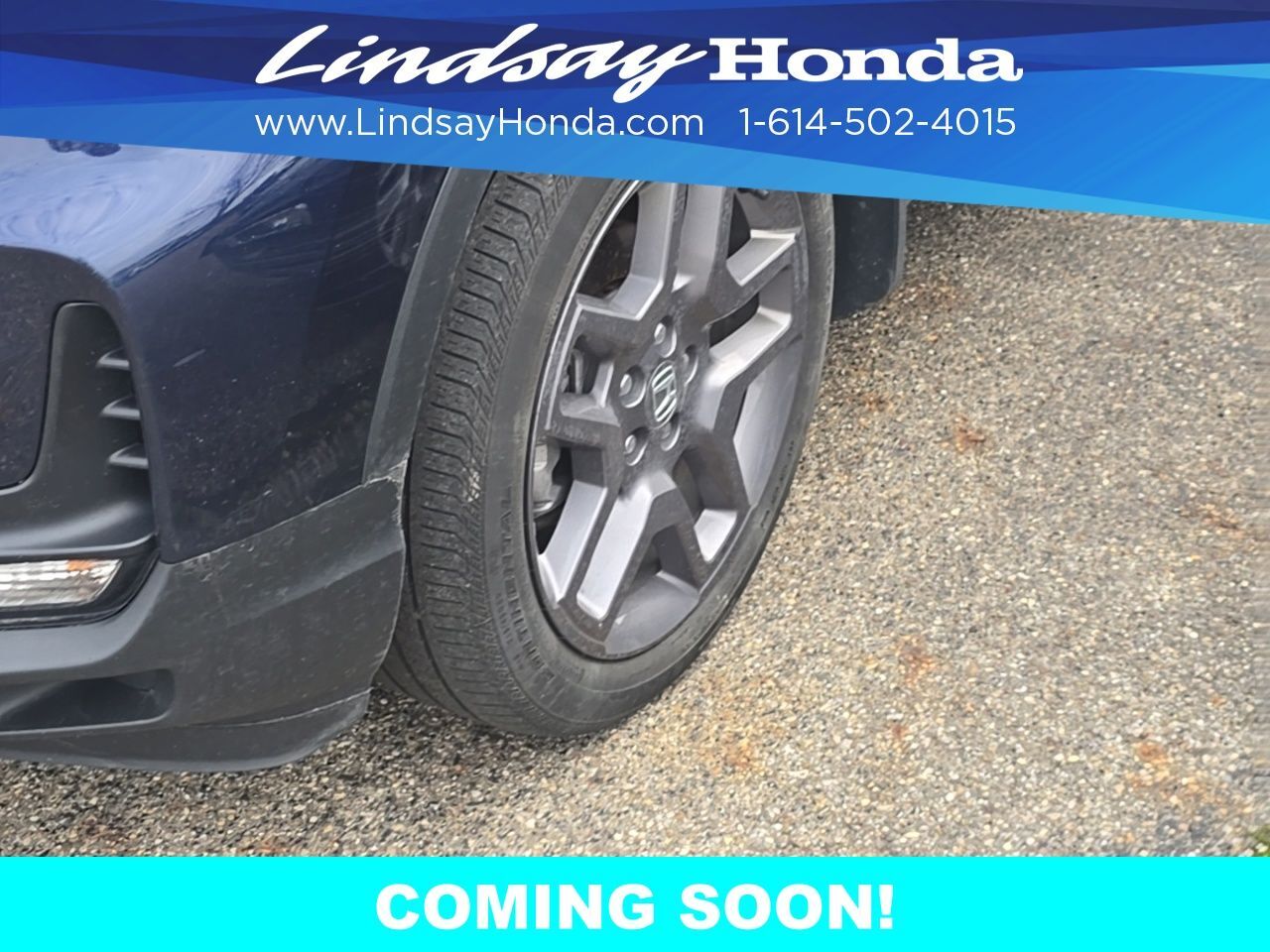 2023 Honda Passport EX-L Columbus OH