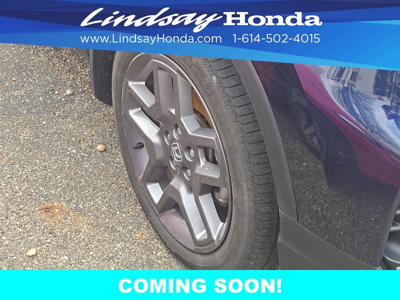 2023 Honda Passport EX-L Columbus OH