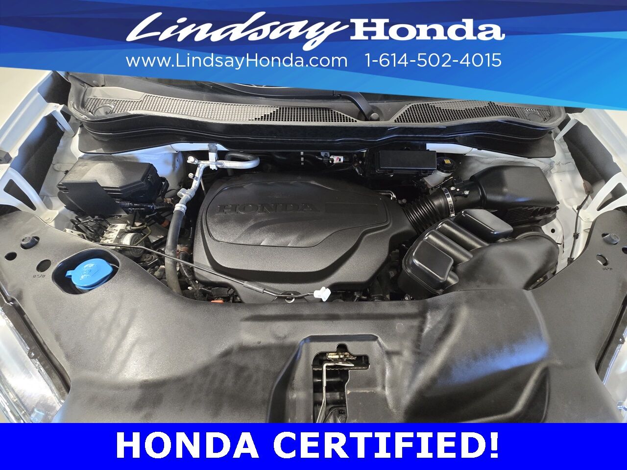 2023 Honda Passport EX-L Columbus OH
