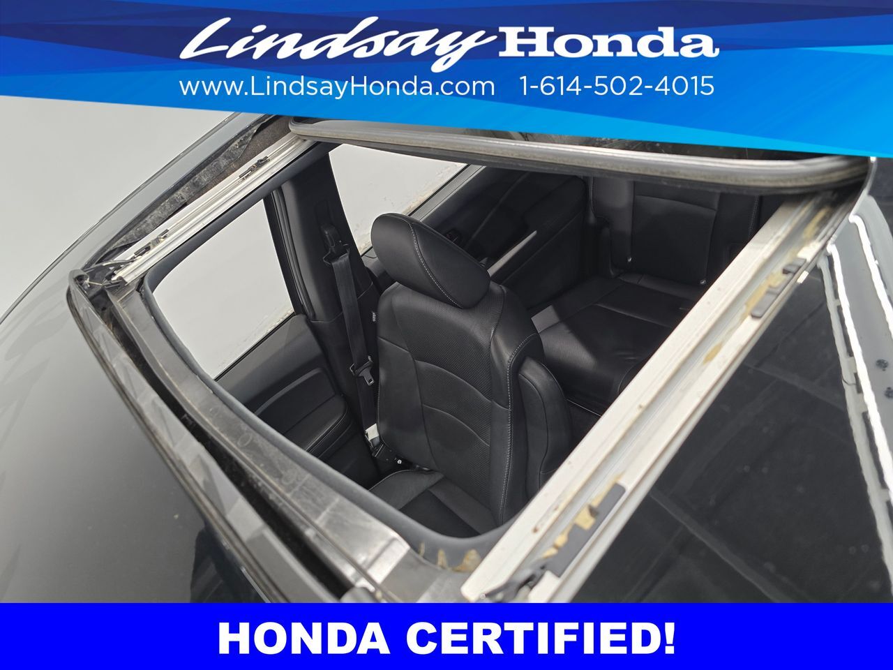2023 Honda Passport EX-L Columbus OH