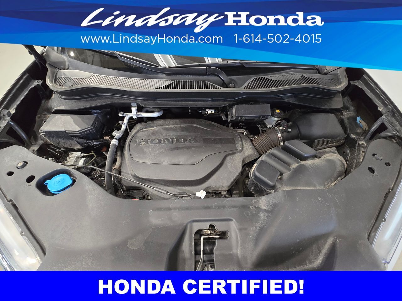 2023 Honda Passport EX-L Columbus OH
