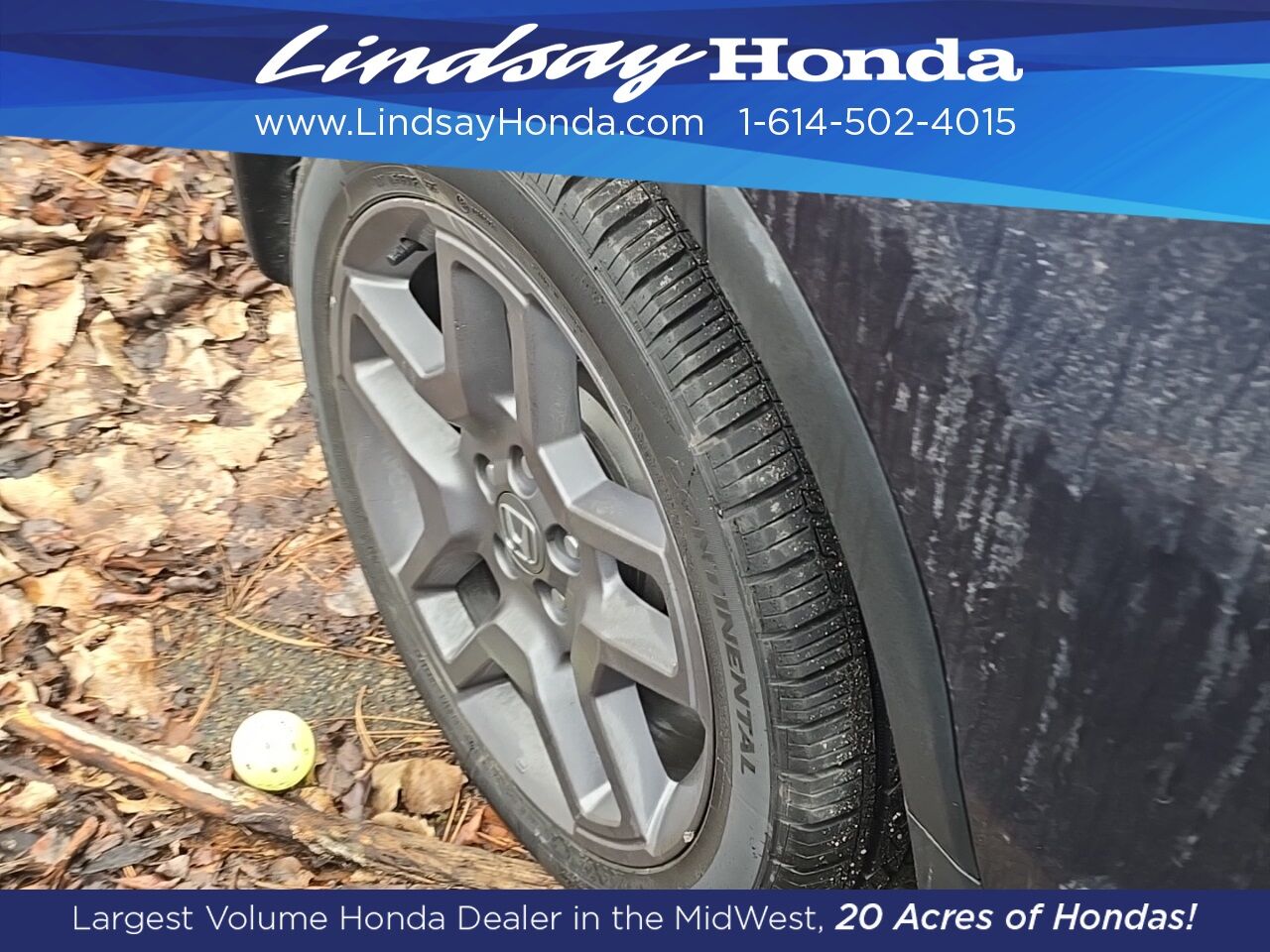 2023 Honda Passport EX-L Columbus OH