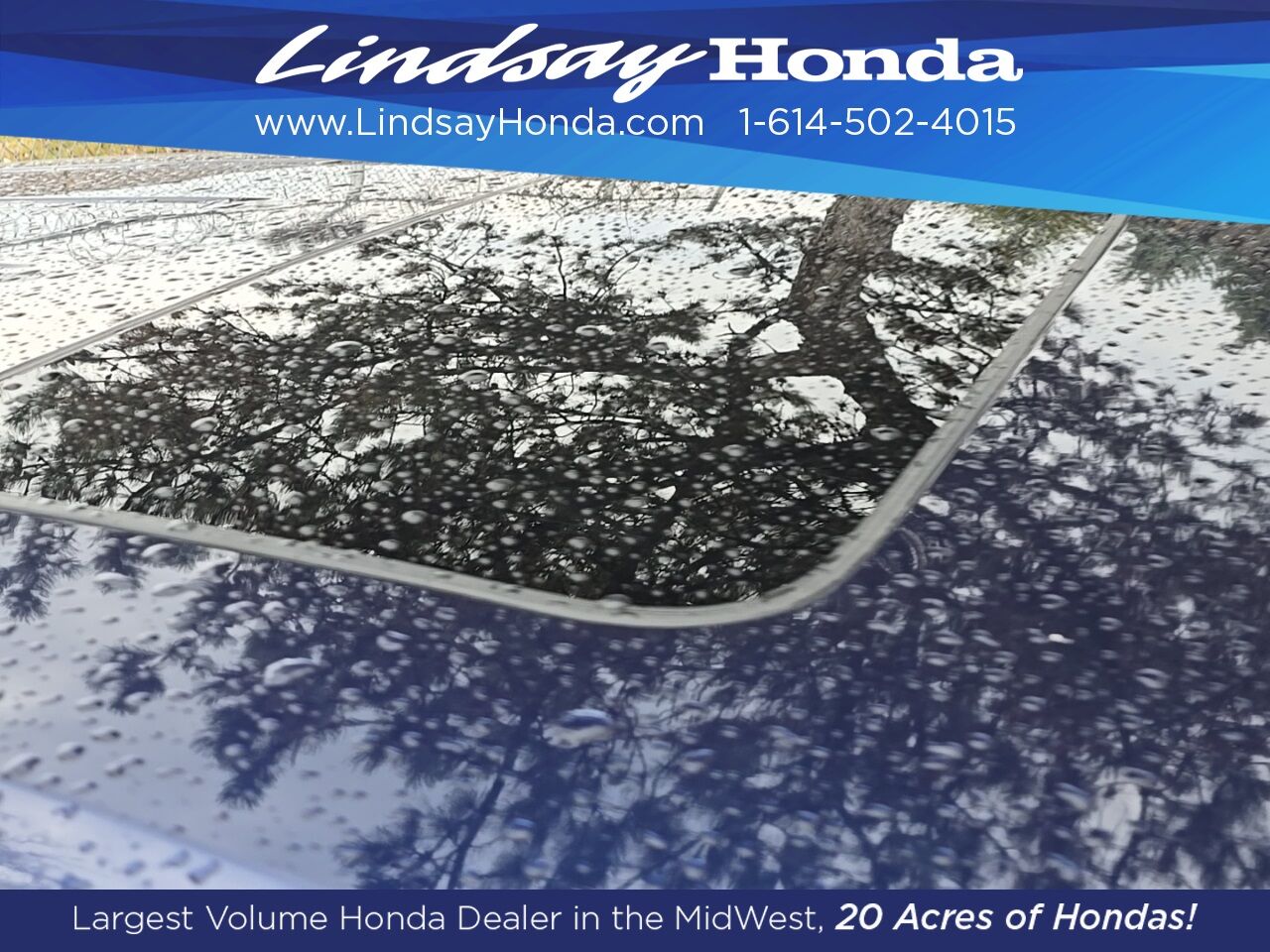 2023 Honda Passport EX-L Columbus OH