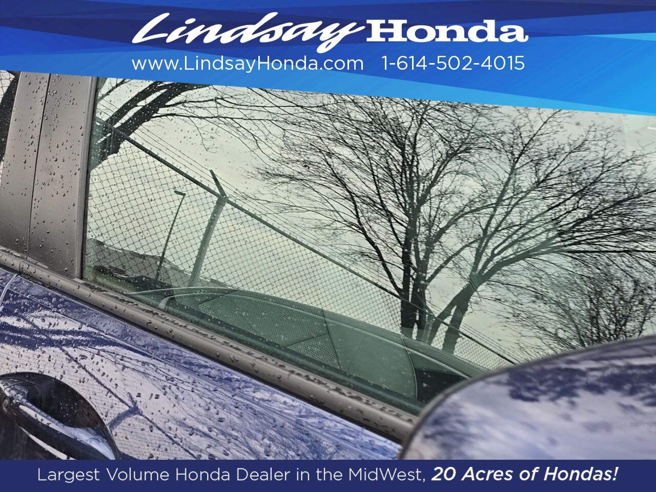 2023 Honda Passport EX-L Columbus OH