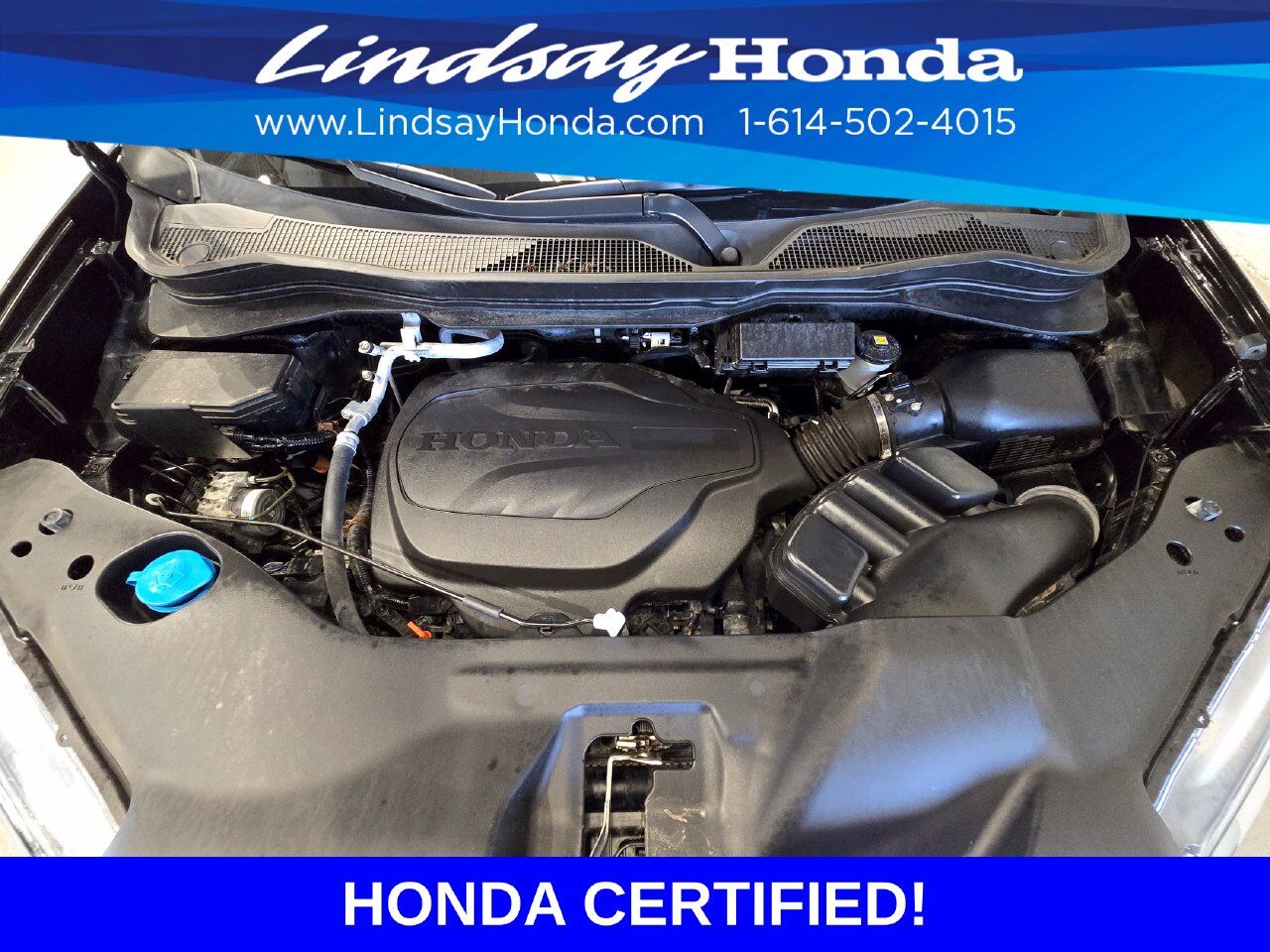 2023 Honda Passport EX-L Columbus OH