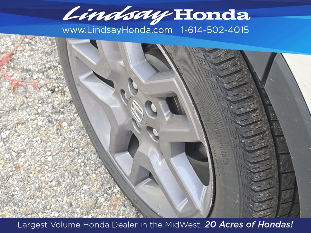 2023 Honda Passport EX-L Columbus OH