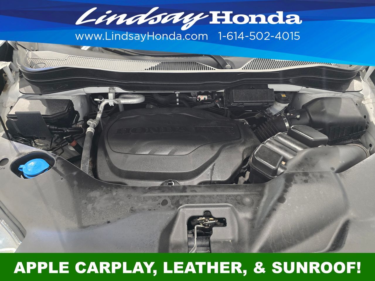 2023 Honda Passport EX-L Columbus OH