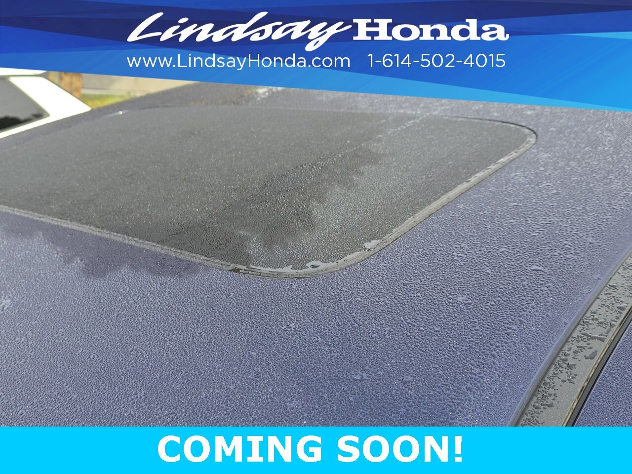 2023 Honda Passport EX-L Columbus OH