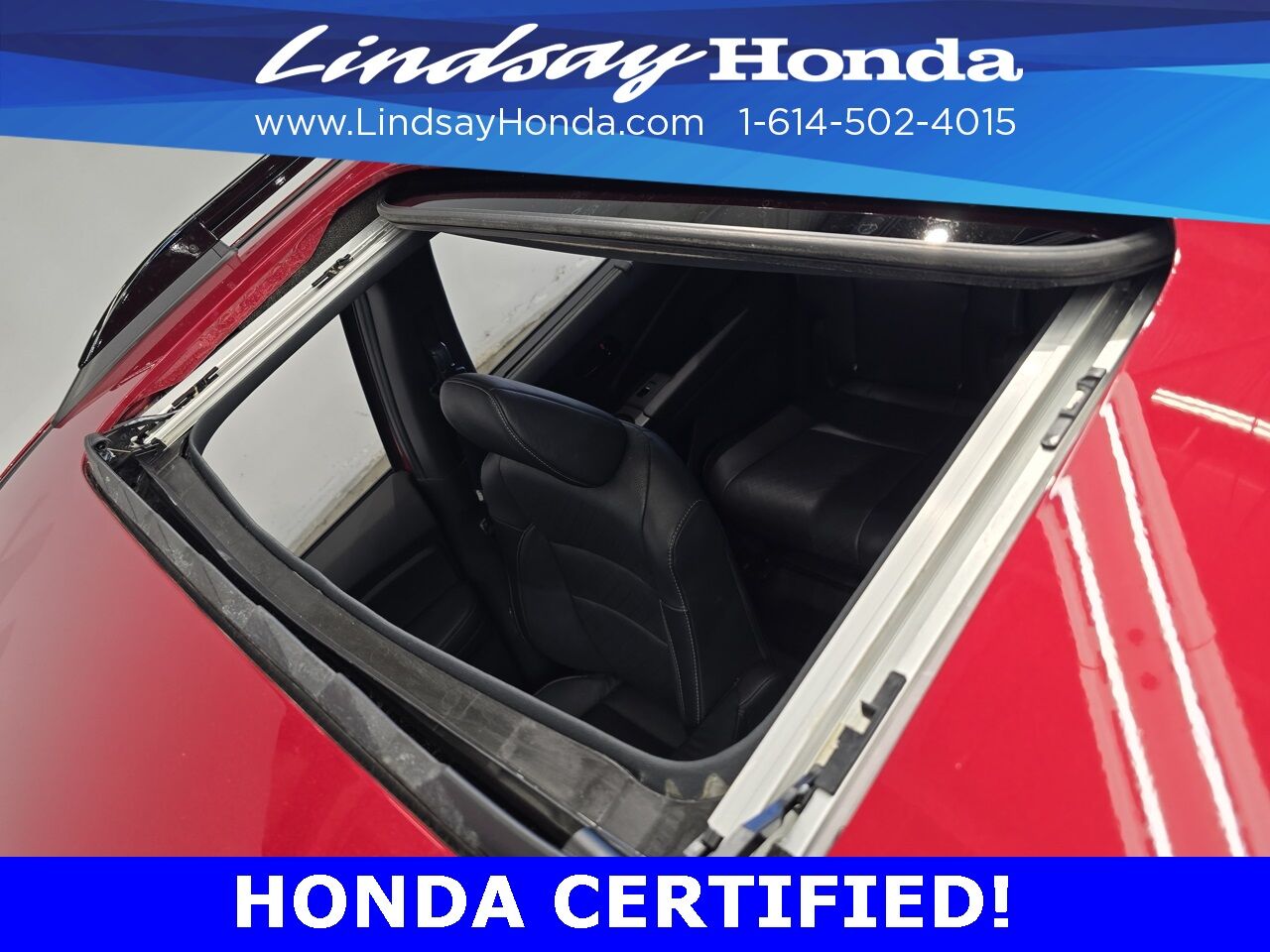 2023 Honda Passport Elite Columbus OH