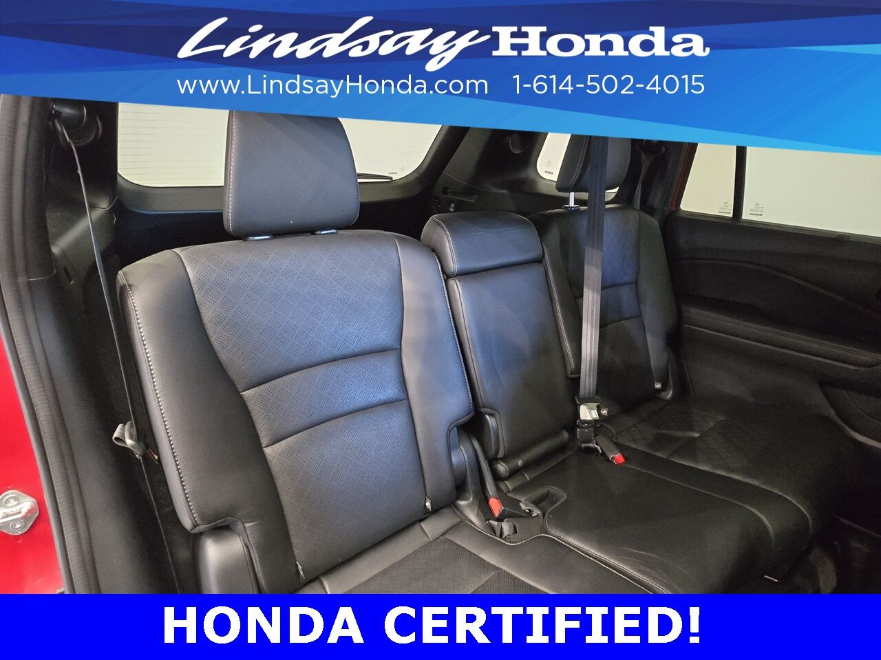 2023 Honda Passport Elite Columbus OH