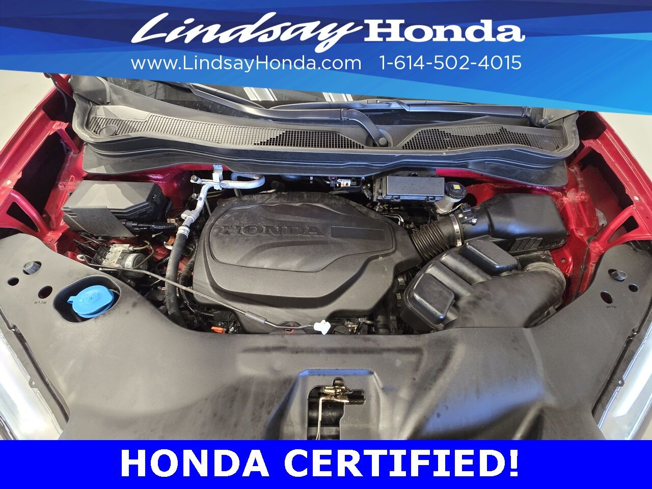 2023 Honda Passport Elite Columbus OH