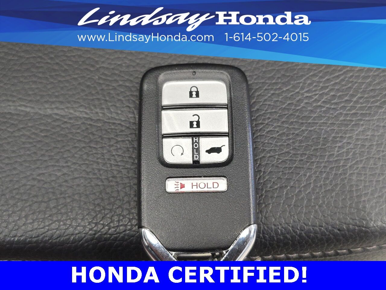 2023 Honda Passport Elite Columbus OH