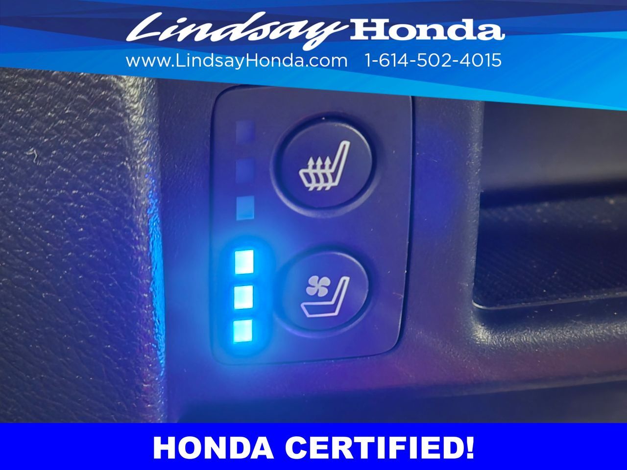 2023 Honda Passport Elite Columbus OH