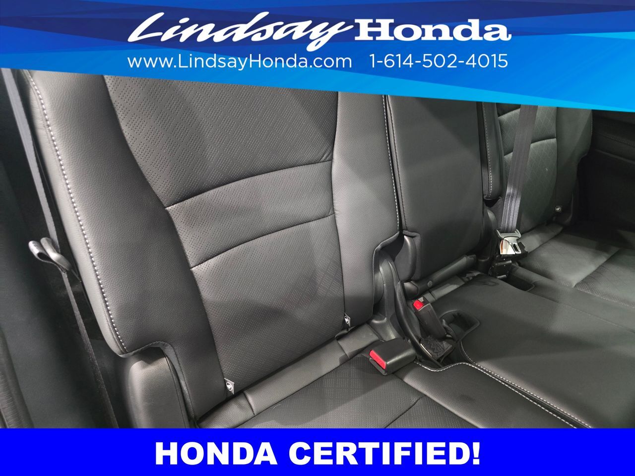 2023 Honda Passport Elite Columbus OH