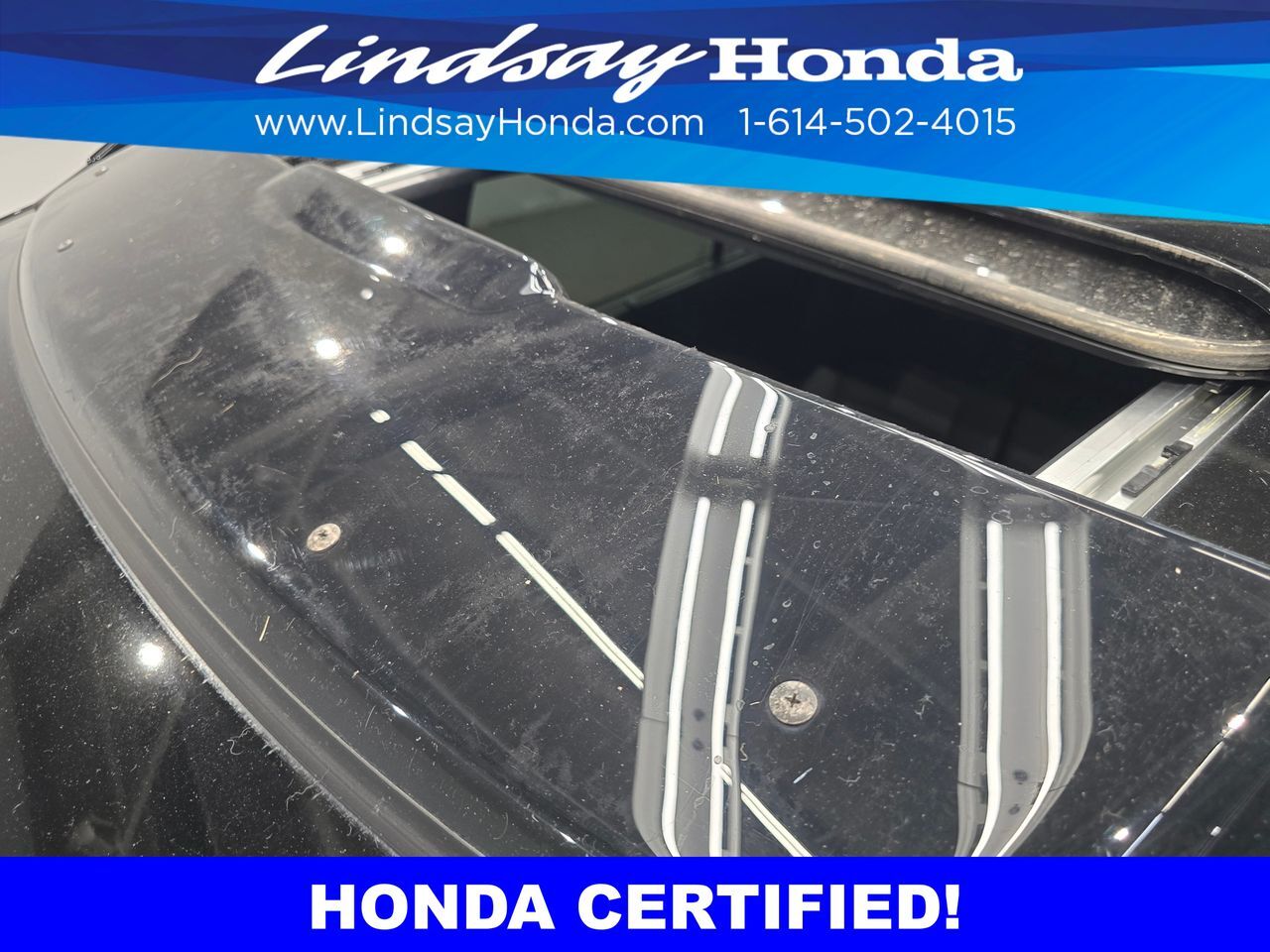 2023 Honda Passport Elite Columbus OH