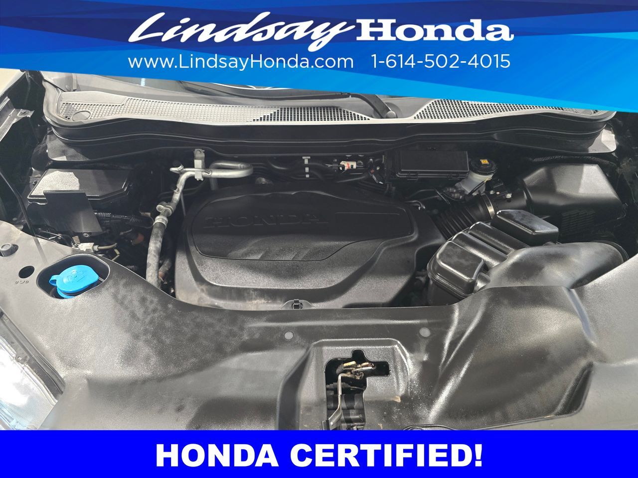 2023 Honda Passport Elite Columbus OH