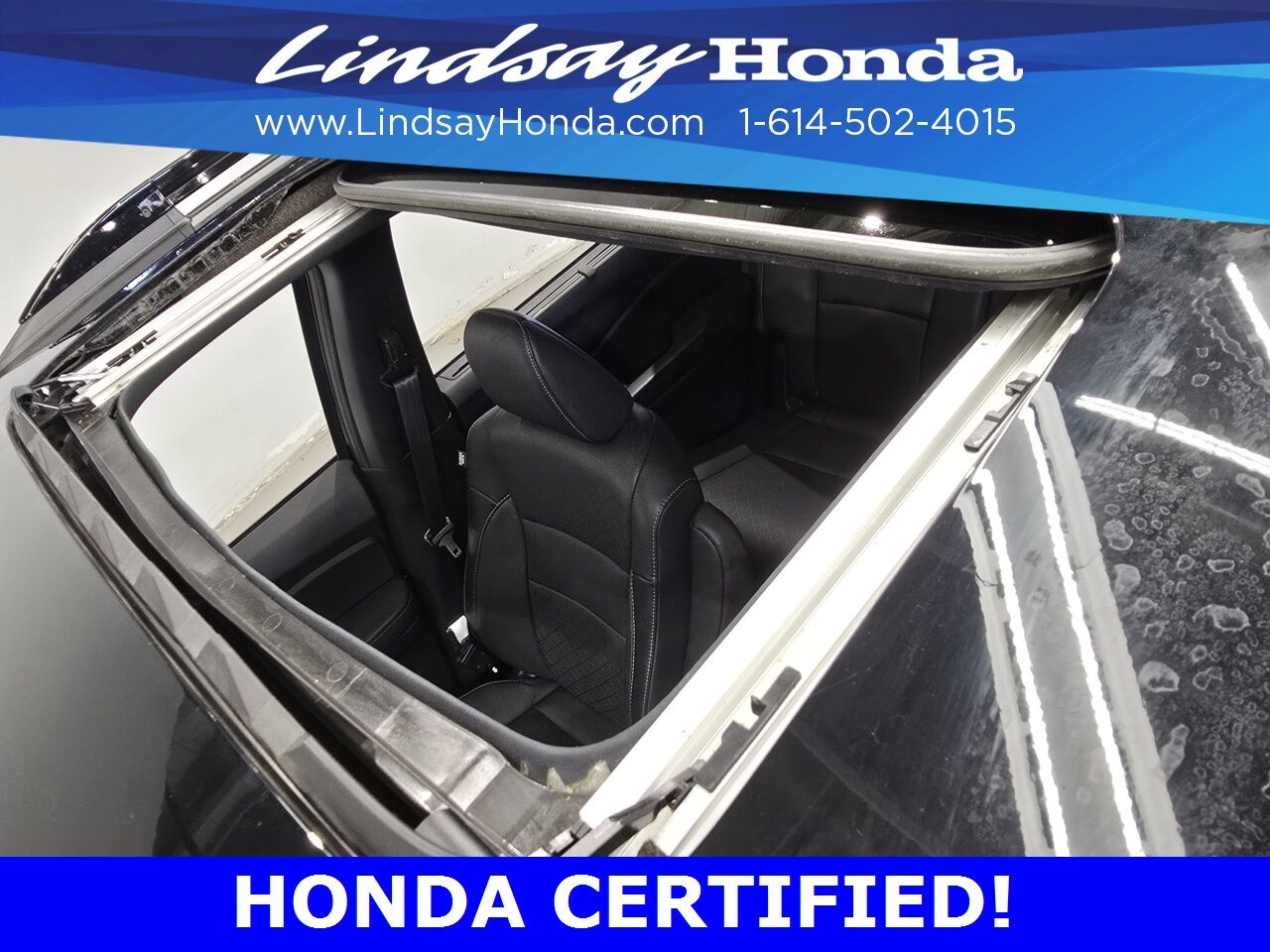 2023 Honda Passport Elite Columbus OH