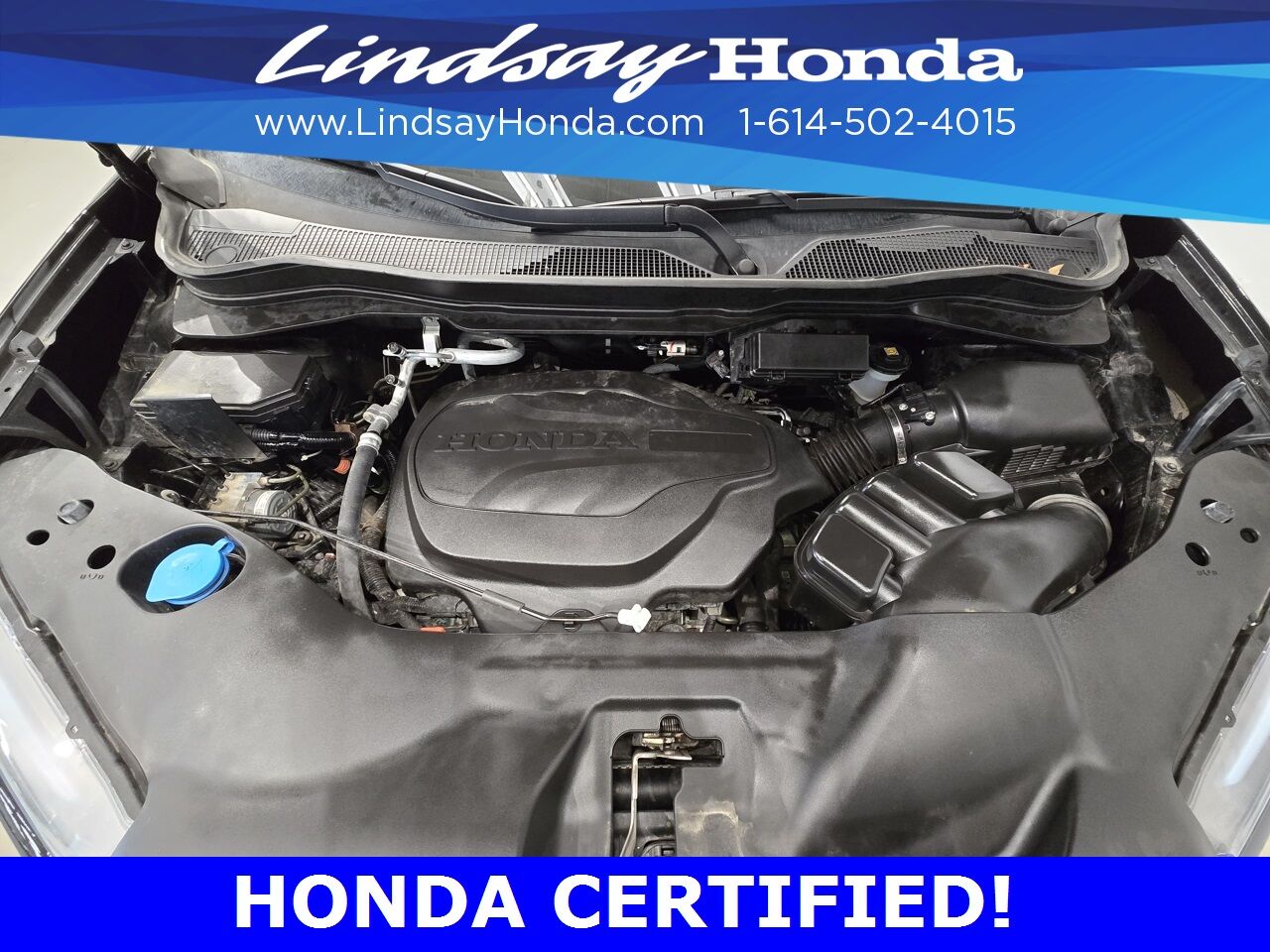 2023 Honda Passport Elite Columbus OH