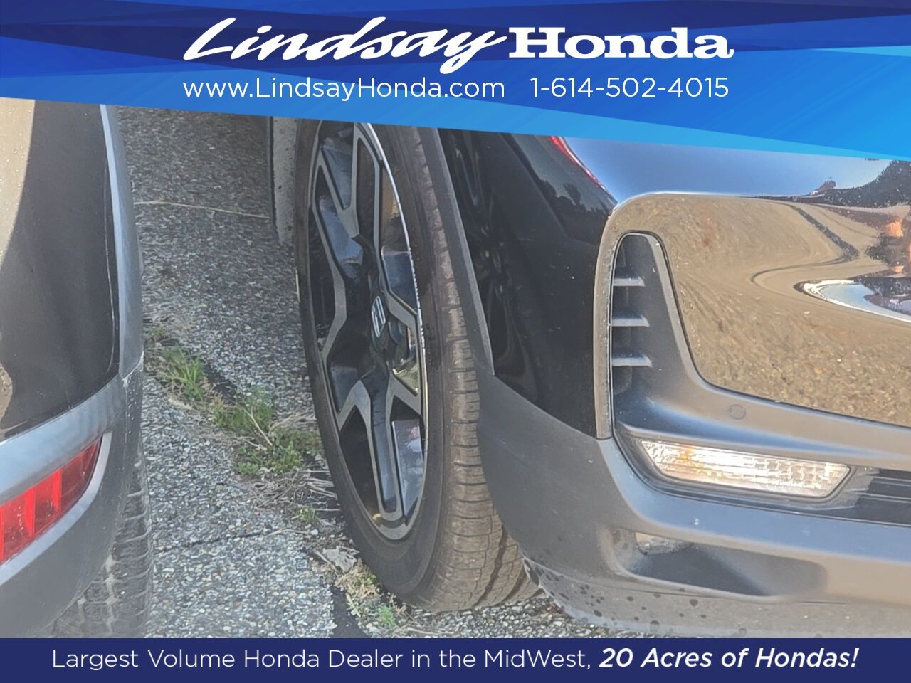 2023 Honda Passport Elite Columbus OH