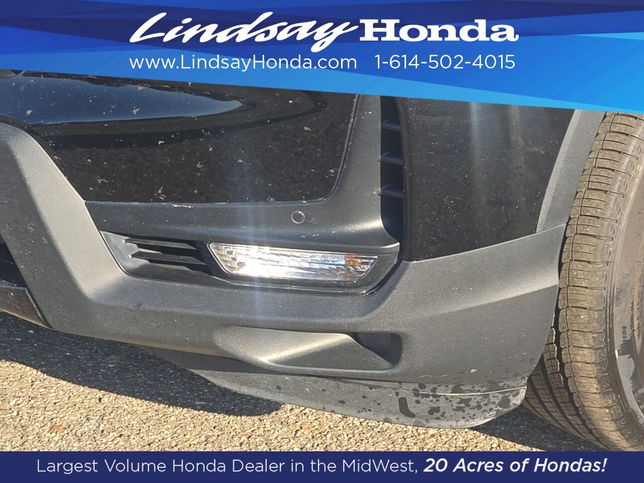 2023 Honda Passport Elite Columbus OH