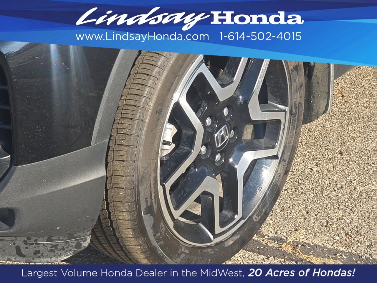 2023 Honda Passport Elite Columbus OH
