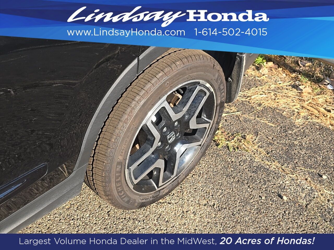 2023 Honda Passport Elite Columbus OH
