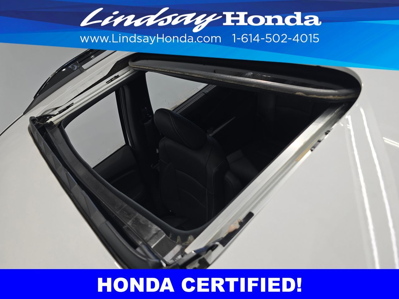 2023 Honda Passport Elite Columbus OH