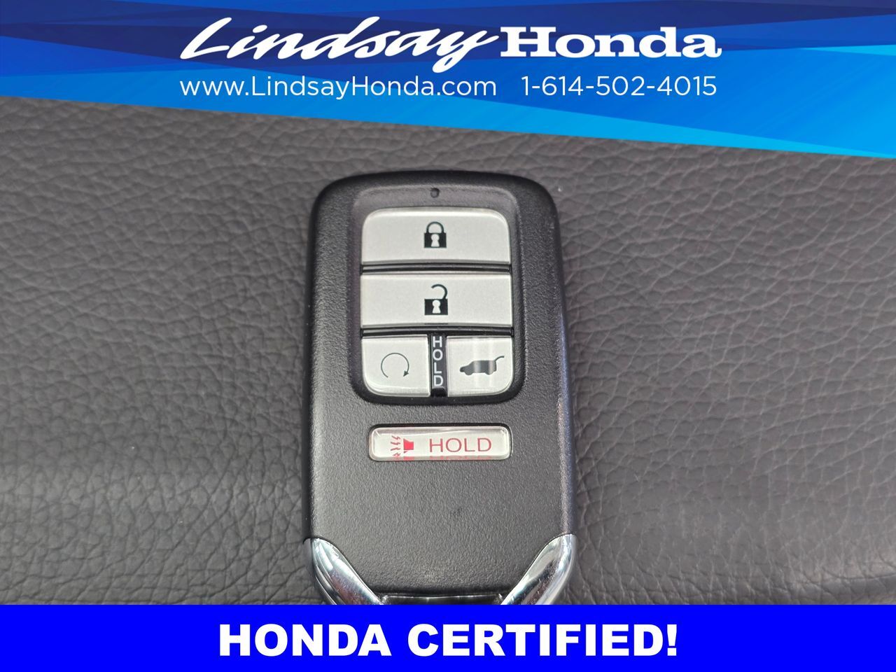 2023 Honda Passport Elite Columbus OH