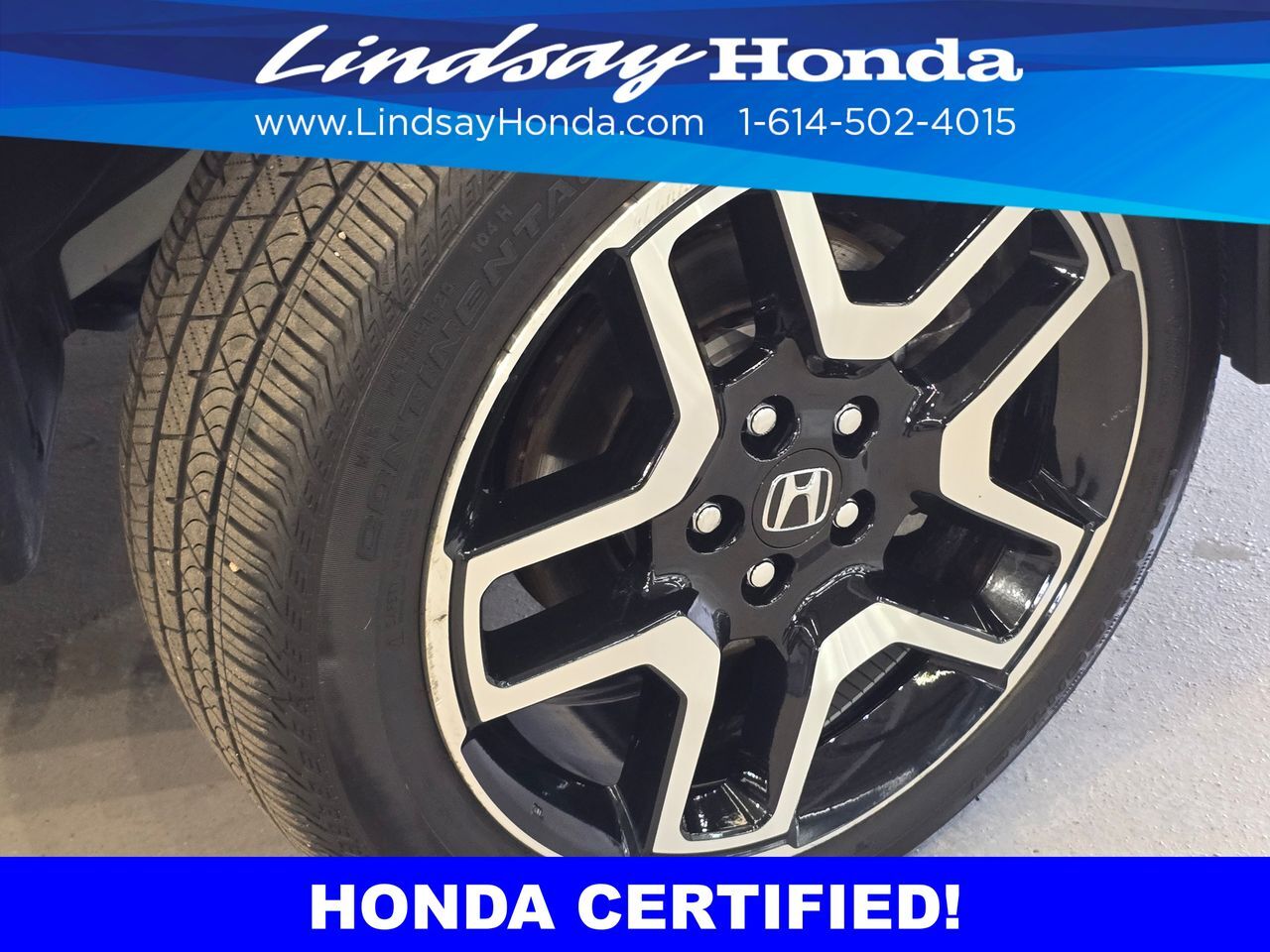 2023 Honda Passport Elite Columbus OH