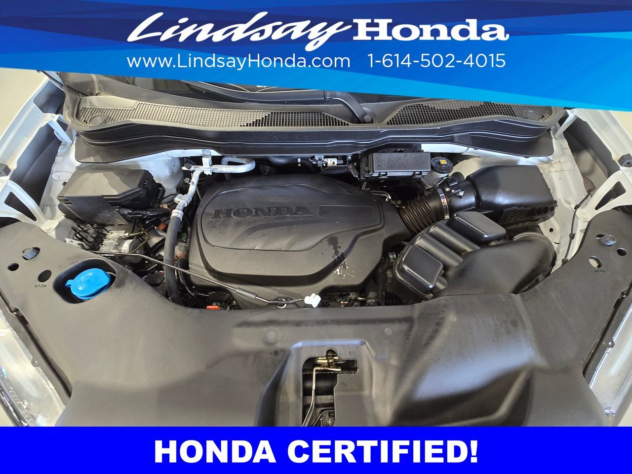 2023 Honda Passport Elite Columbus OH
