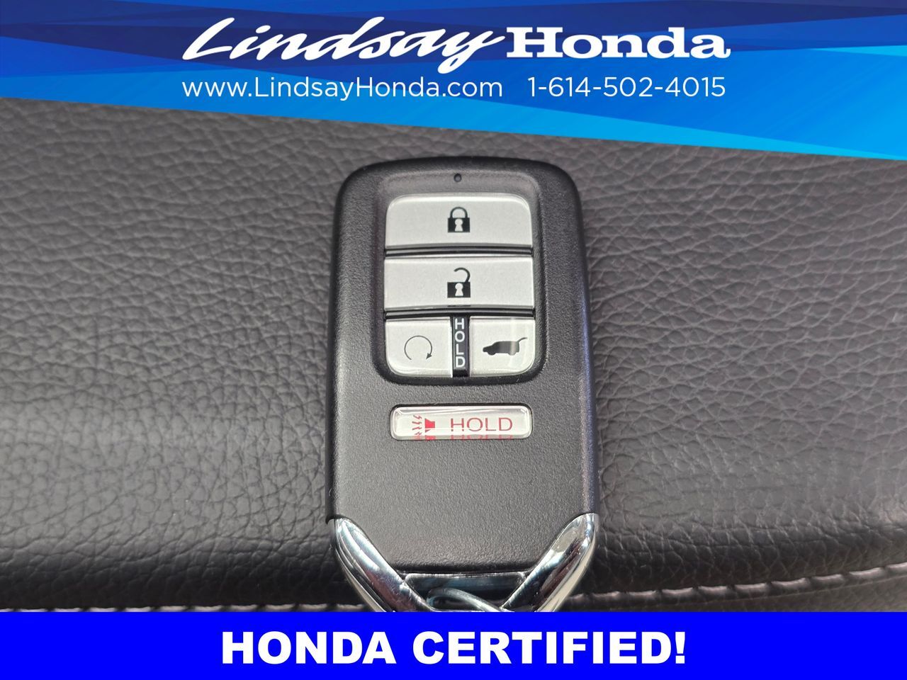 2023 Honda Passport Elite Columbus OH