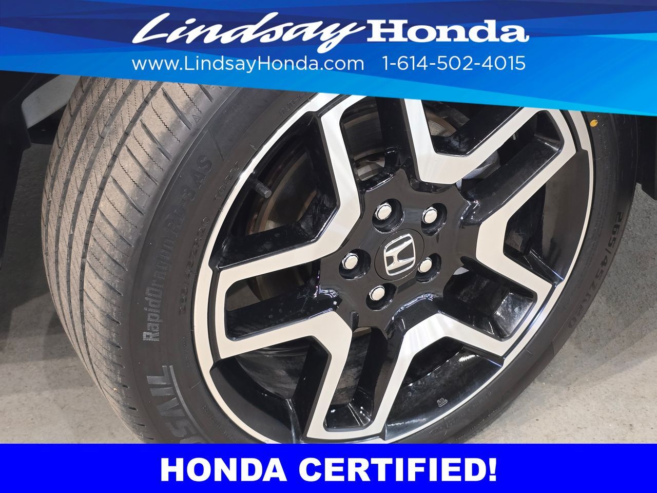 2023 Honda Passport Elite Columbus OH