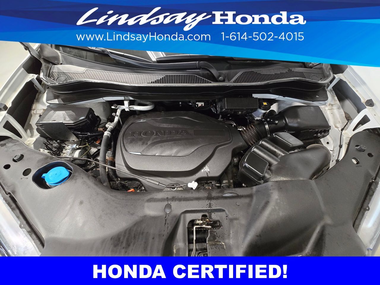 2023 Honda Passport Elite Columbus OH