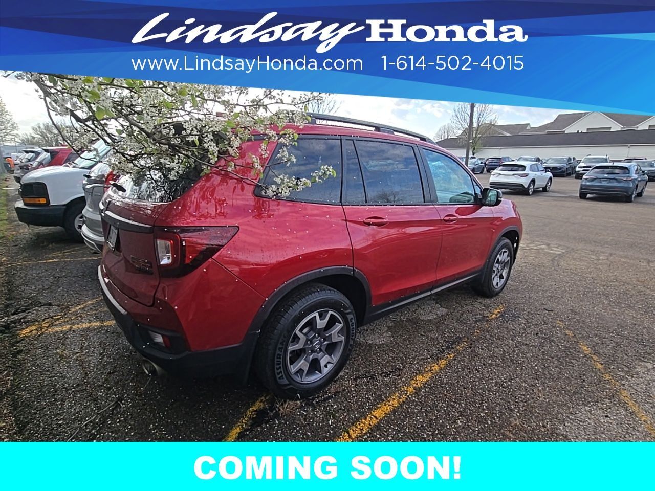 2023 Honda Passport TrailSport