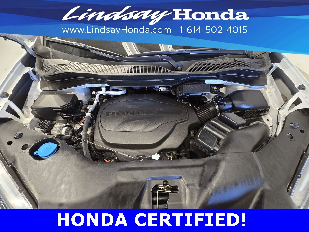 2023 Honda Passport TrailSport Columbus OH