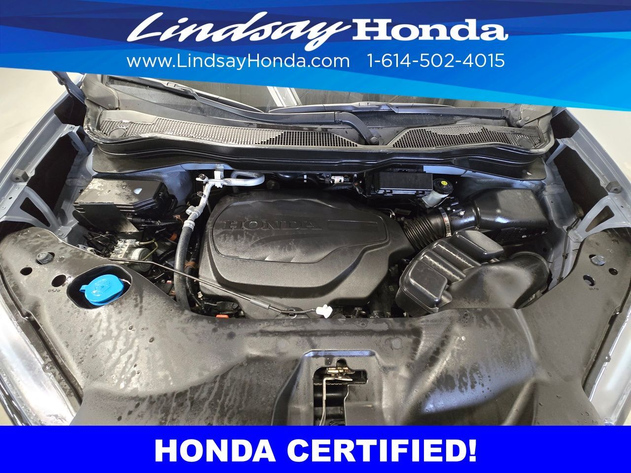 2023 Honda Passport TrailSport Columbus OH