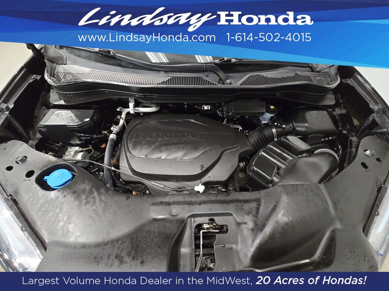 2023 Honda Passport TrailSport Columbus OH