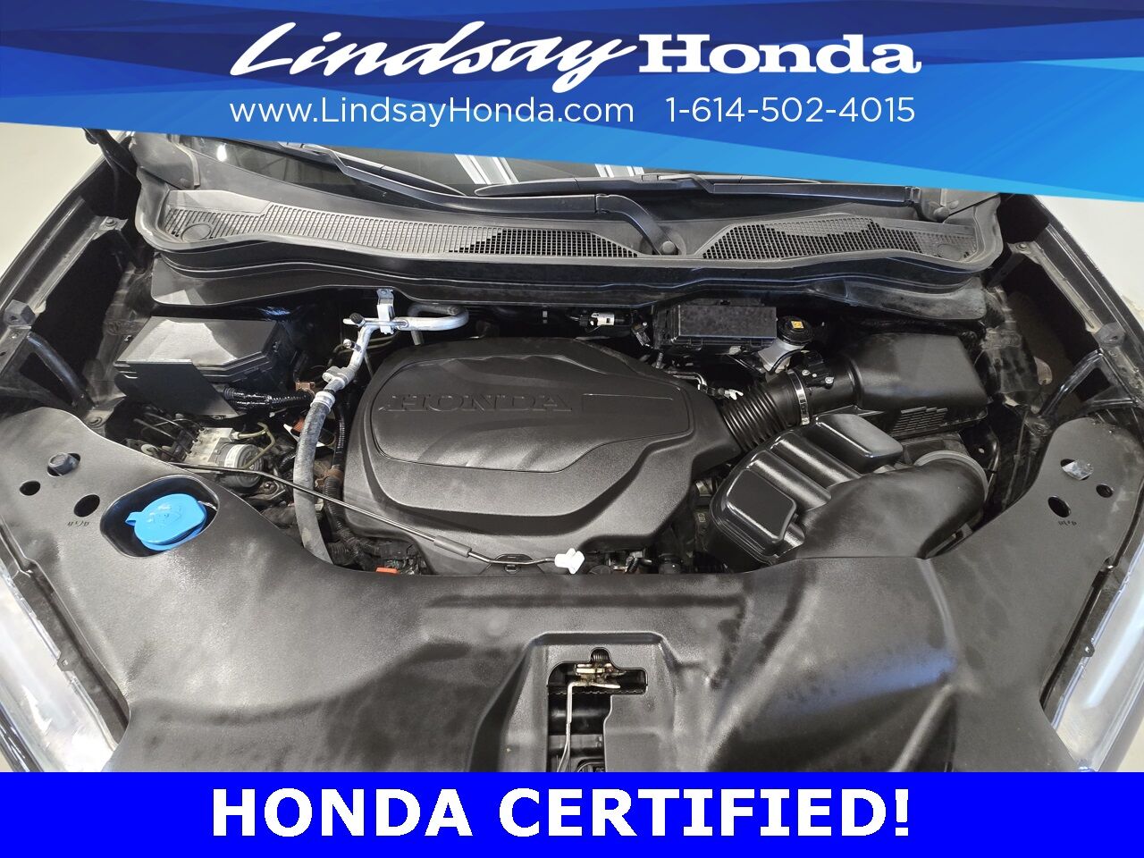 2023 Honda Passport TrailSport Columbus OH