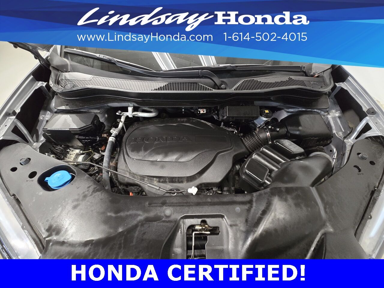 2023 Honda Passport TrailSport Columbus OH