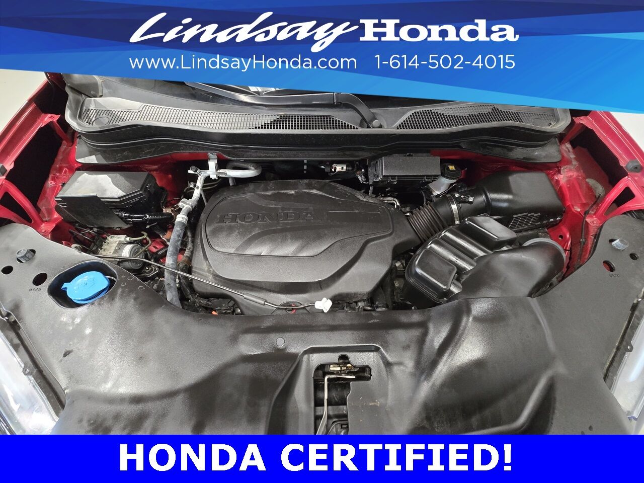 2023 Honda Passport TrailSport Columbus OH