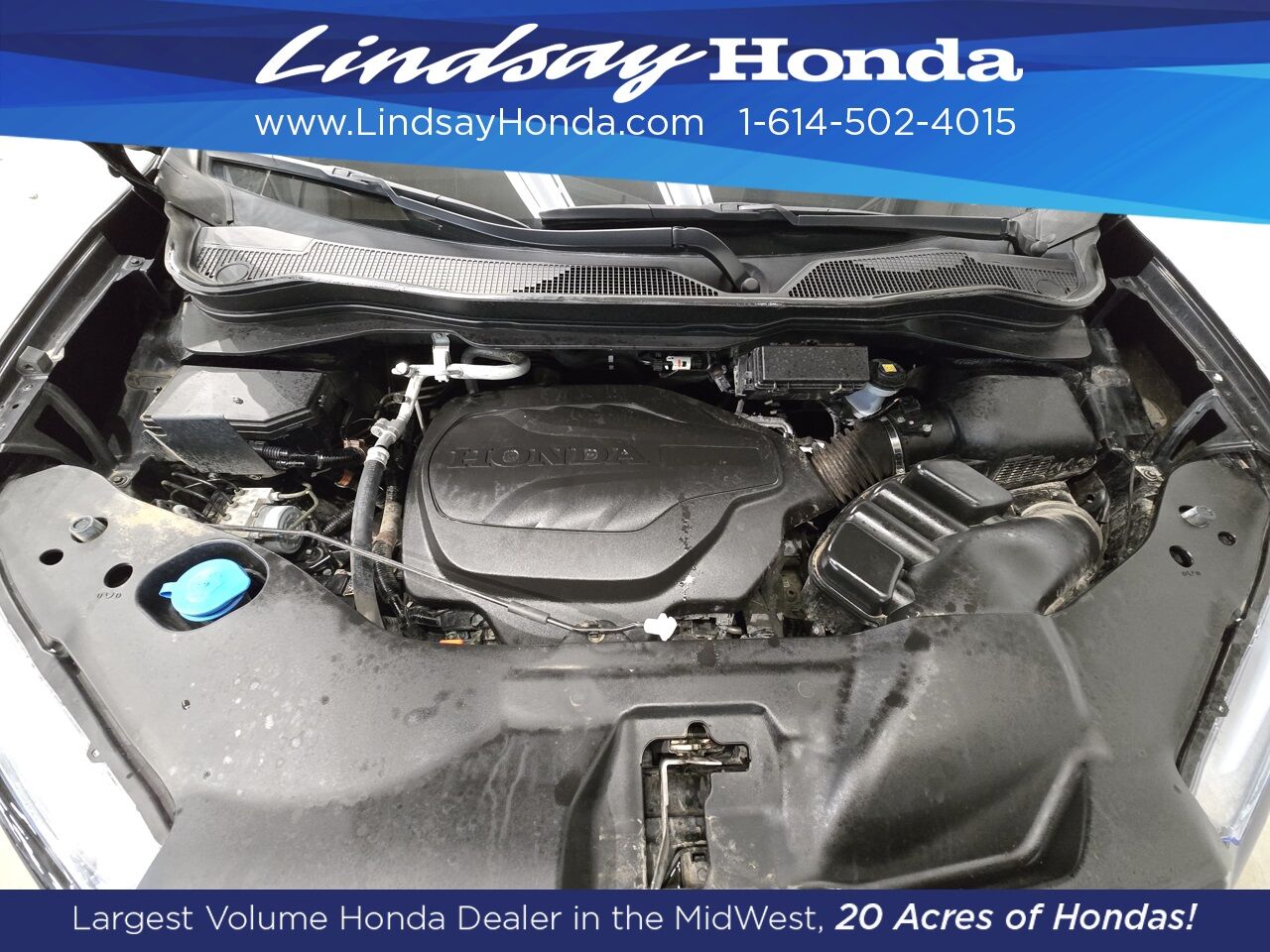 2023 Honda Passport TrailSport Columbus OH