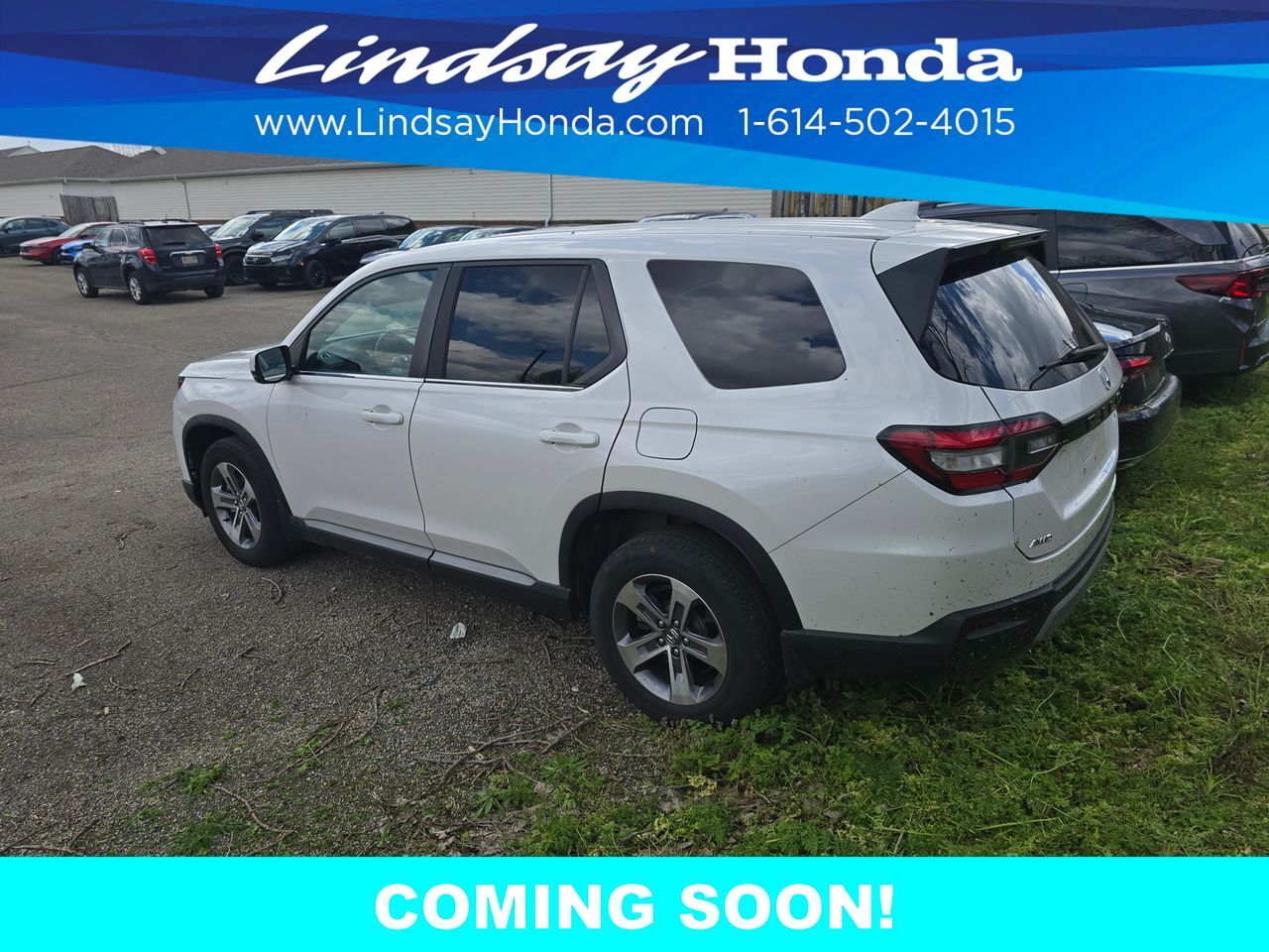 2023 Honda Pilot EX-L Columbus OH