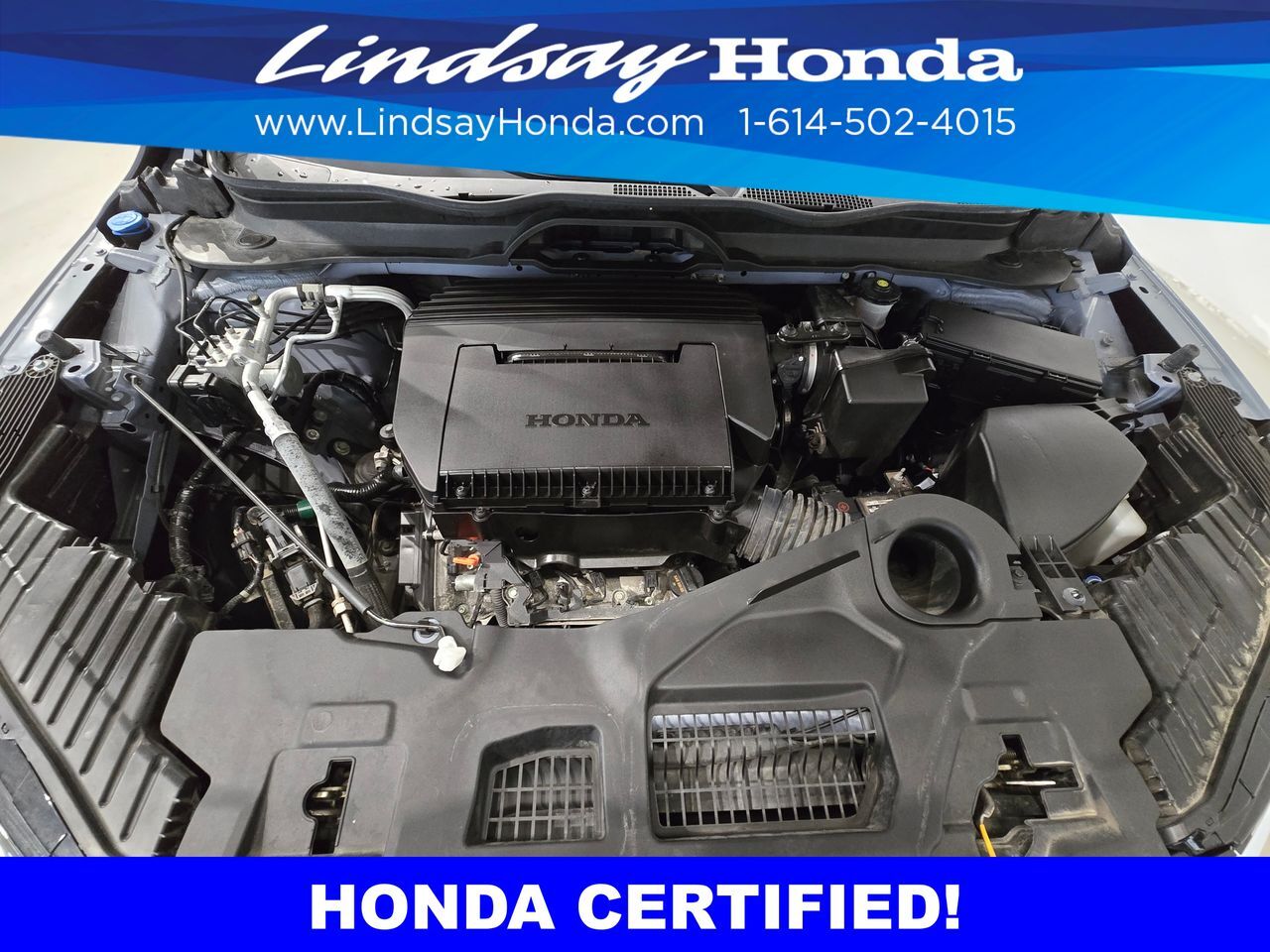 2023 Honda Pilot Elite Columbus OH